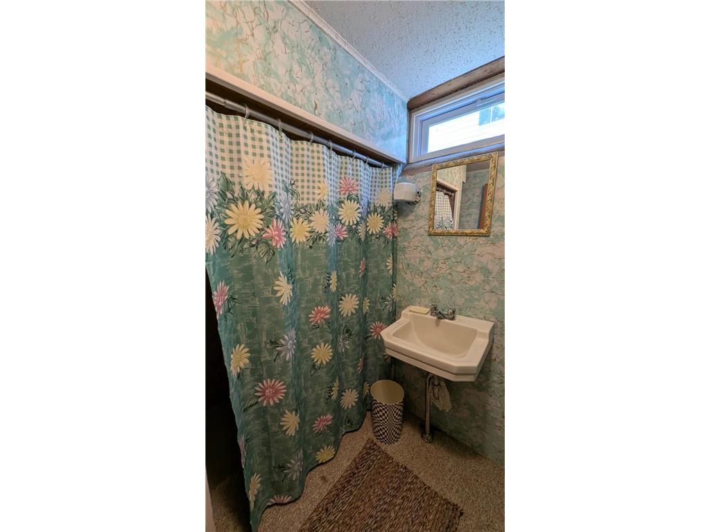 202 Lomond Drive NW Bagley MN 56621 - Lomond 7075963 image30