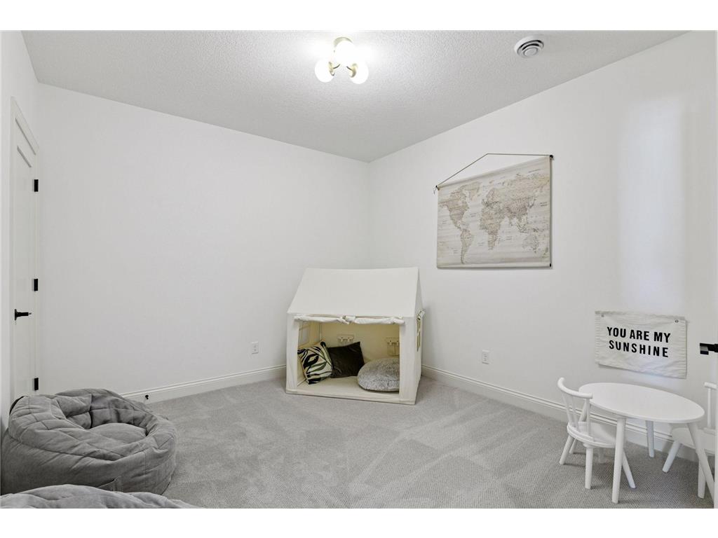 202 Sandy Shores Road Waconia MN 55387 - Waconia 7061794 image59