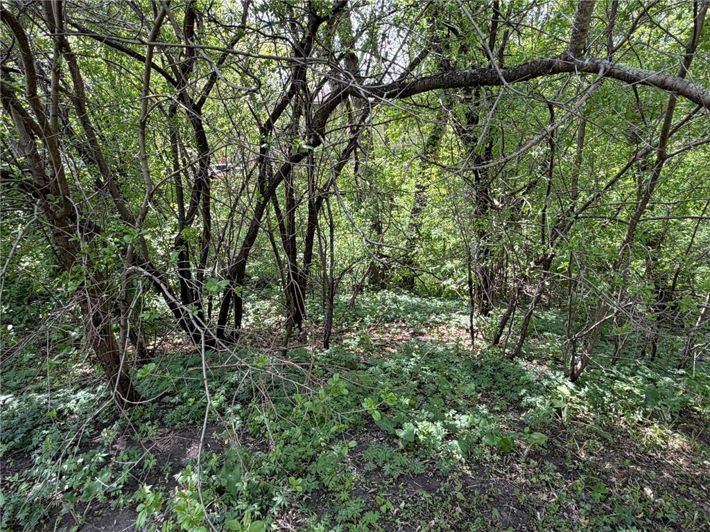 202 W Everett Avenue Fergus Falls MN 56537 7079261 image4