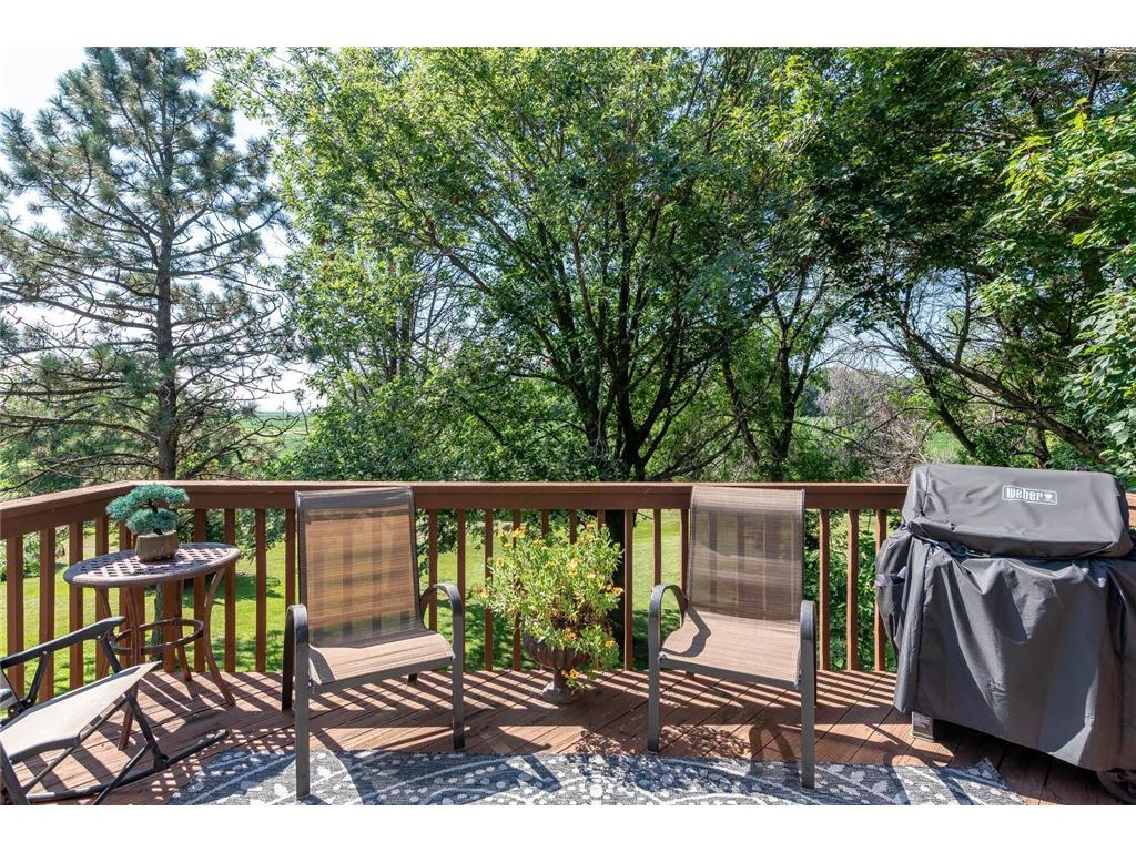20206 Monks Avenue Mankato MN 56001 7091114 image35