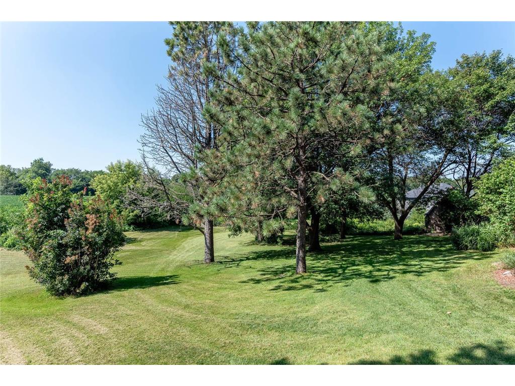 20206 Monks Avenue Mankato MN 56001 7091114 image39