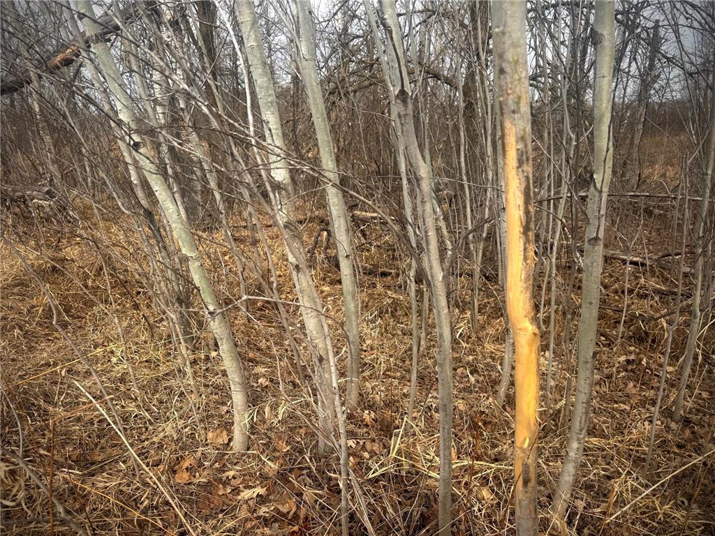 2022 Dixon Line Road Finlayson MN 55735 7046826 image1