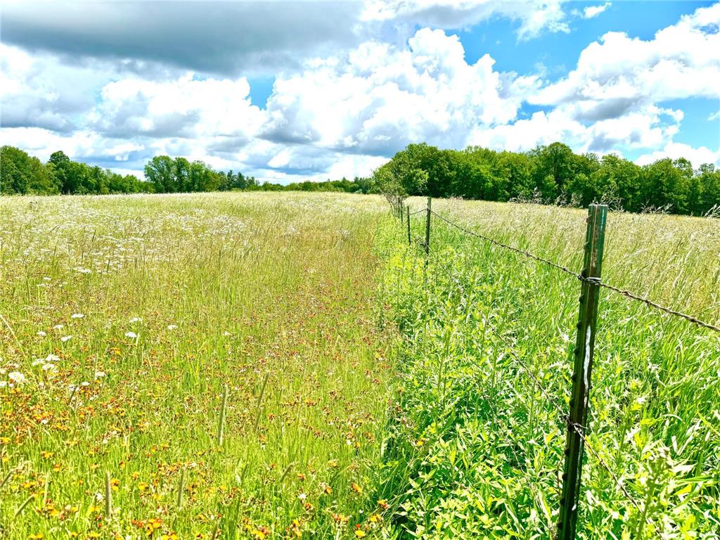 2022 Dixon Line Road Finlayson MN 55735 7046826 image10