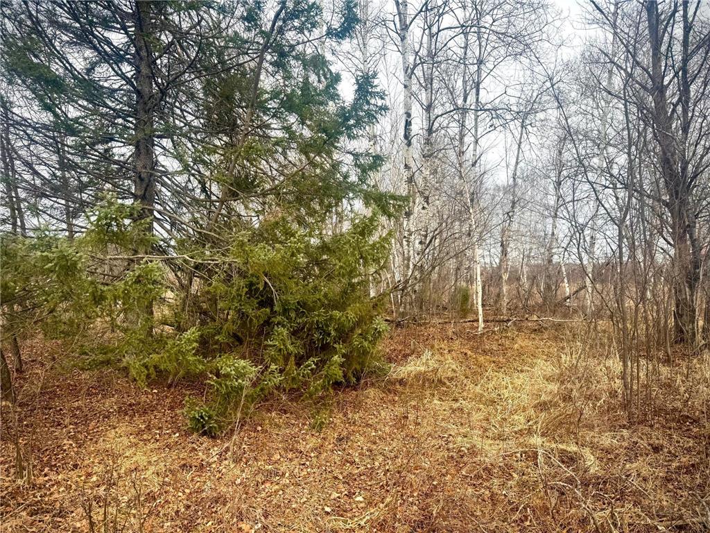 2022 Dixon Line Road Finlayson MN 55735 7046826 image11