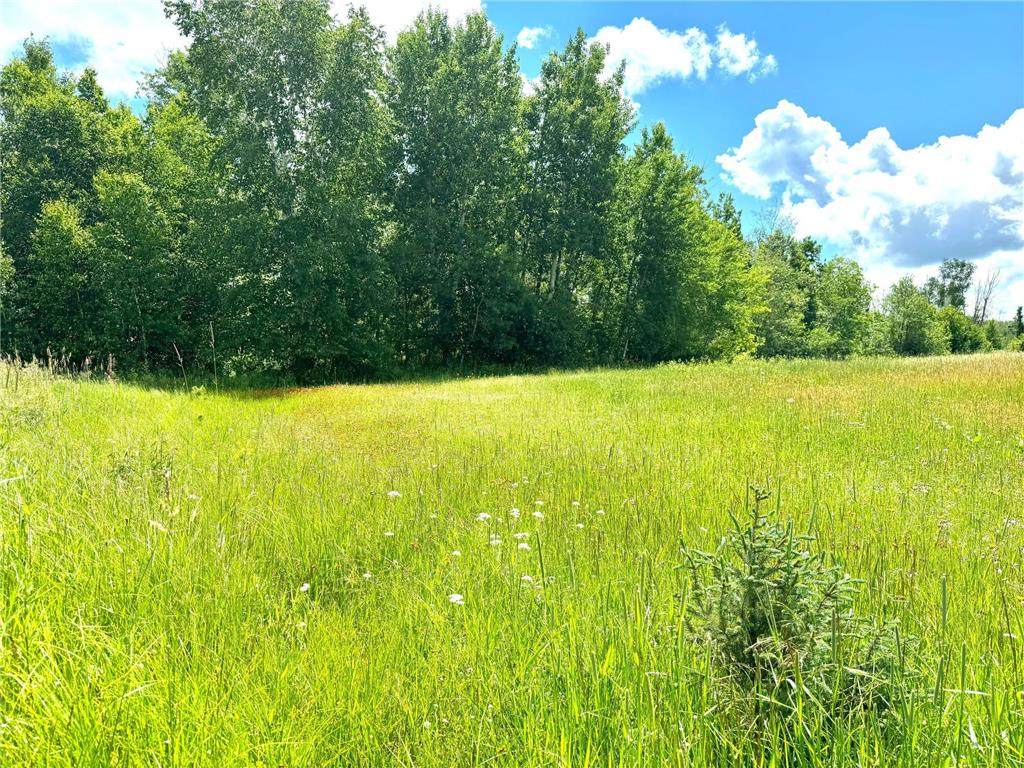 2022 Dixon Line Road Finlayson MN 55735 7046826 image17