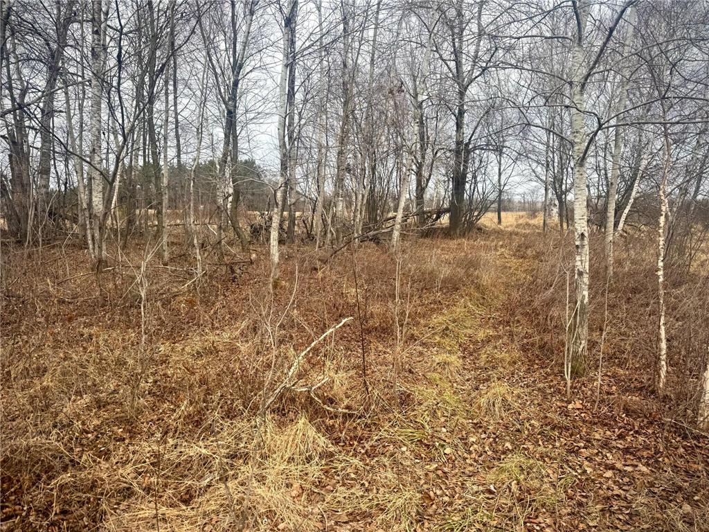 2022 Dixon Line Road Finlayson MN 55735 7046826 image18