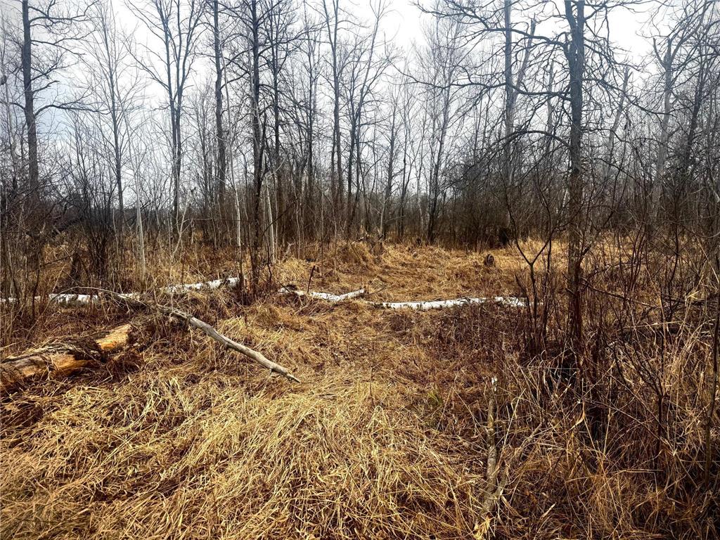 2022 Dixon Line Road Finlayson MN 55735 7046826 image20
