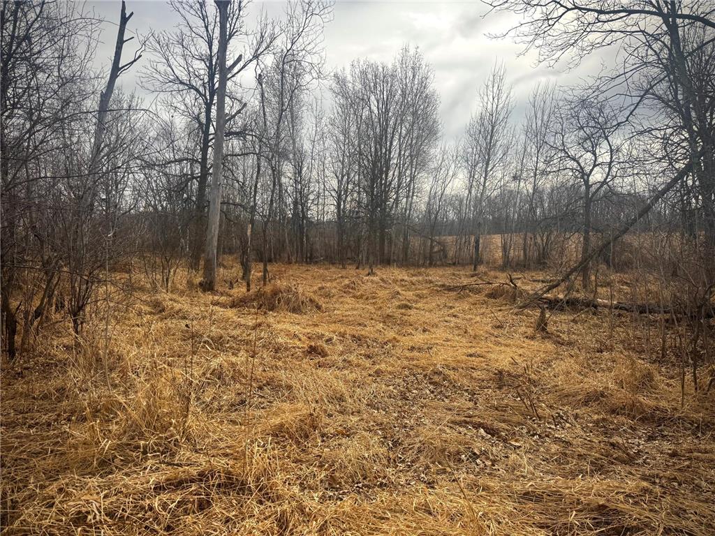 2022 Dixon Line Road Finlayson MN 55735 7046826 image23