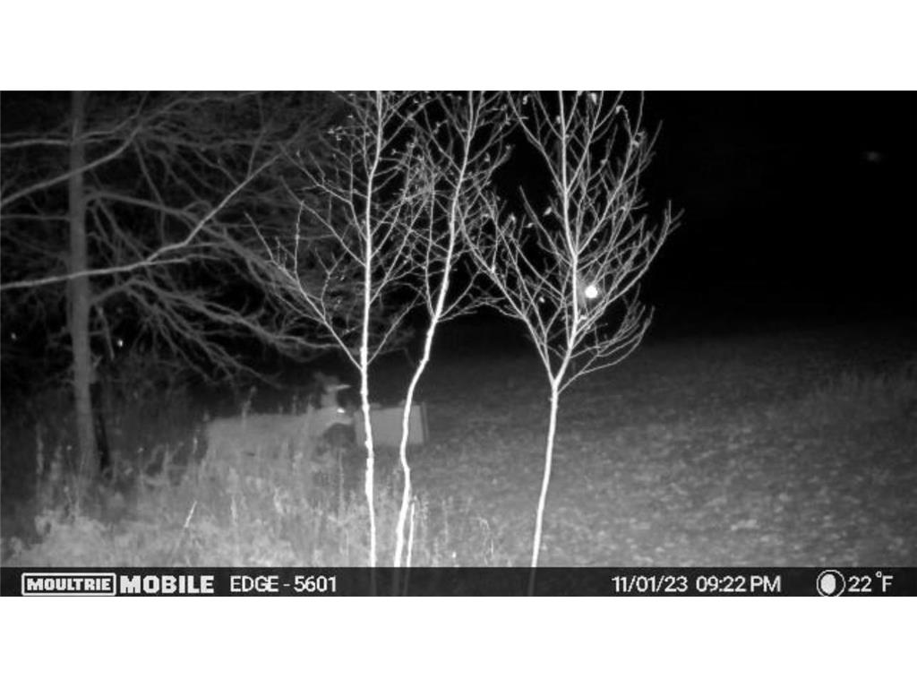 2022 Dixon Line Road Finlayson MN 55735 7046826 image25