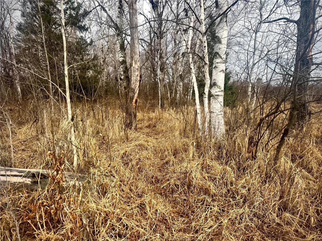 2022 Dixon Line Road Finlayson MN 55735 7046826 image28
