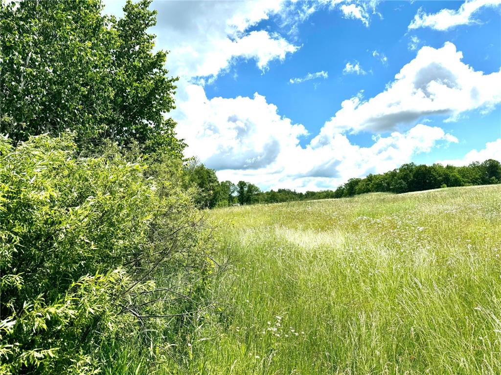 2022 Dixon Line Road Finlayson MN 55735 7046826 image40