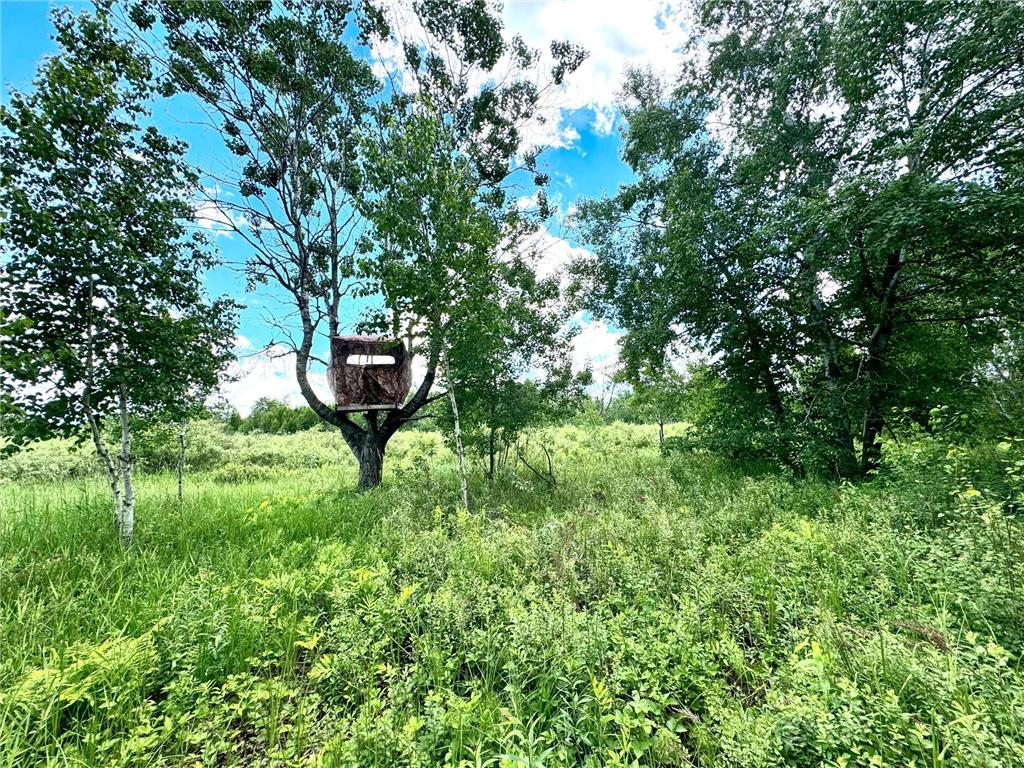 2022 Dixon Line Road Finlayson MN 55735 7046826 image43
