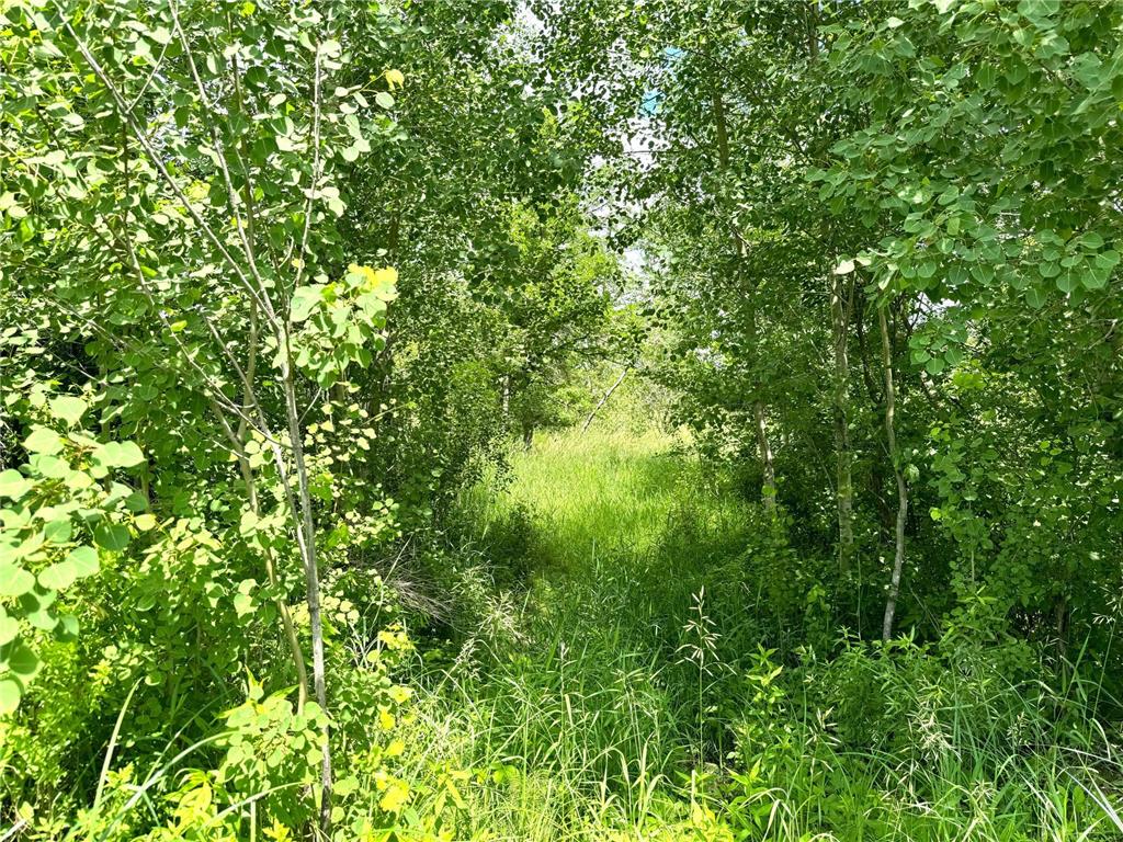 2022 Dixon Line Road Finlayson MN 55735 7046826 image47