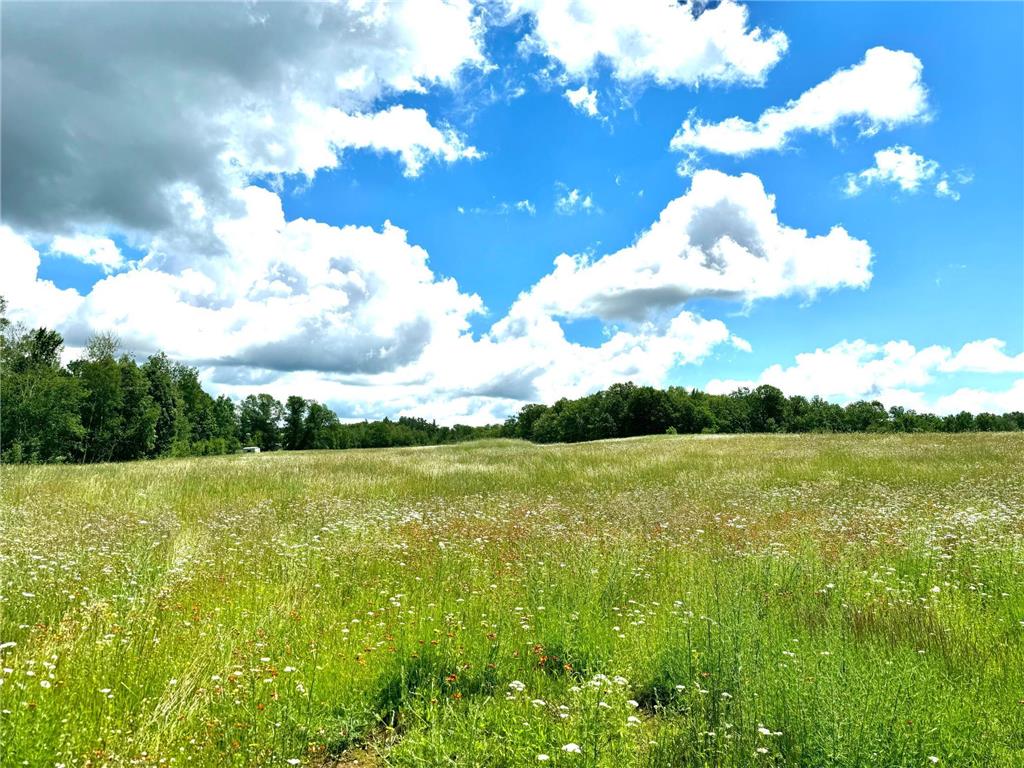 2022 Dixon Line Road Finlayson MN 55735 7046826 image49