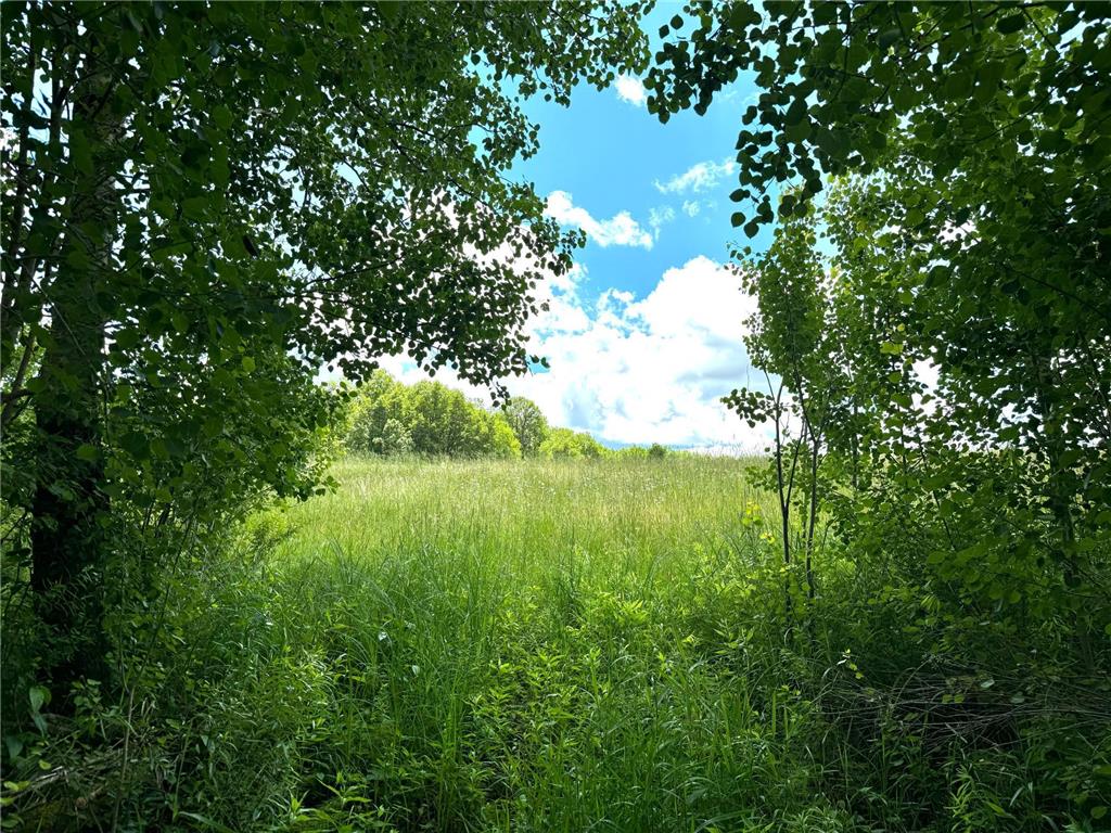 2022 Dixon Line Road Finlayson MN 55735 7046826 image52