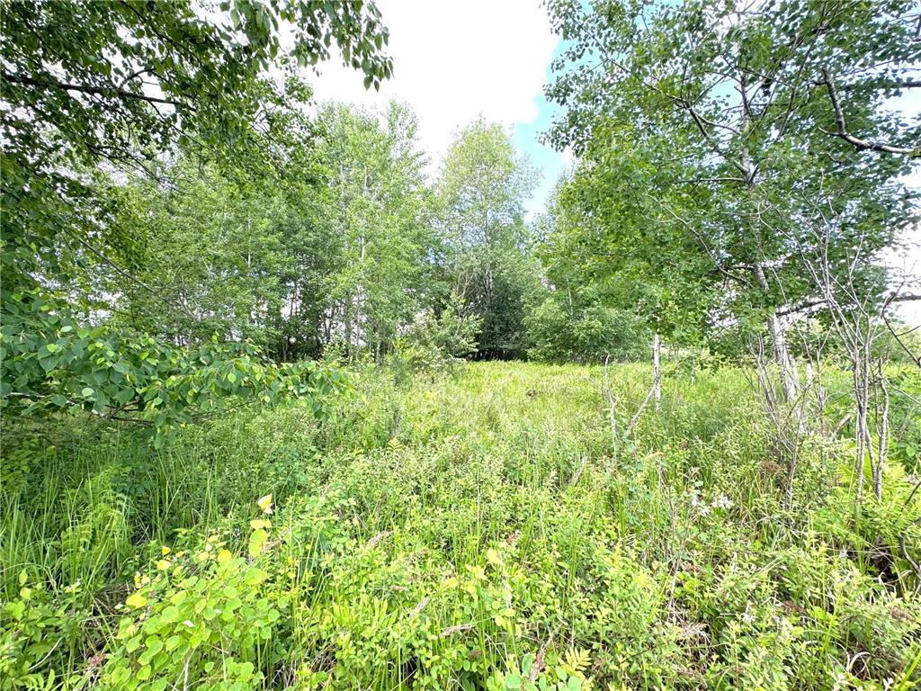 2022 Dixon Line Road Finlayson MN 55735 7046826 image53