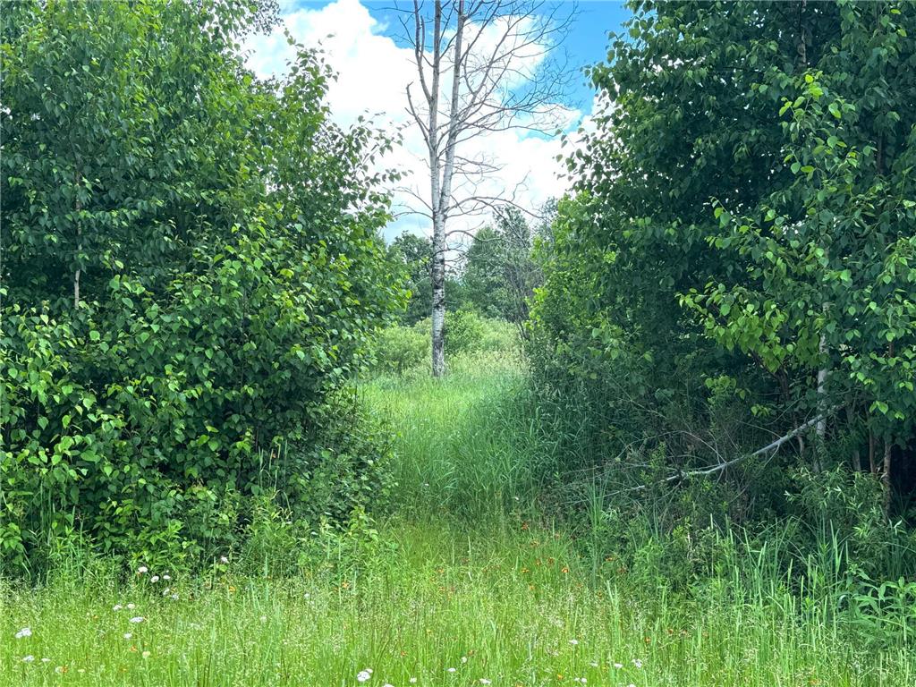 2022 Dixon Line Road Finlayson MN 55735 7046826 image55