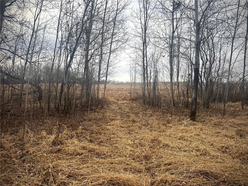 2022 Dixon Line Road Finlayson MN 55735 7046826 image6
