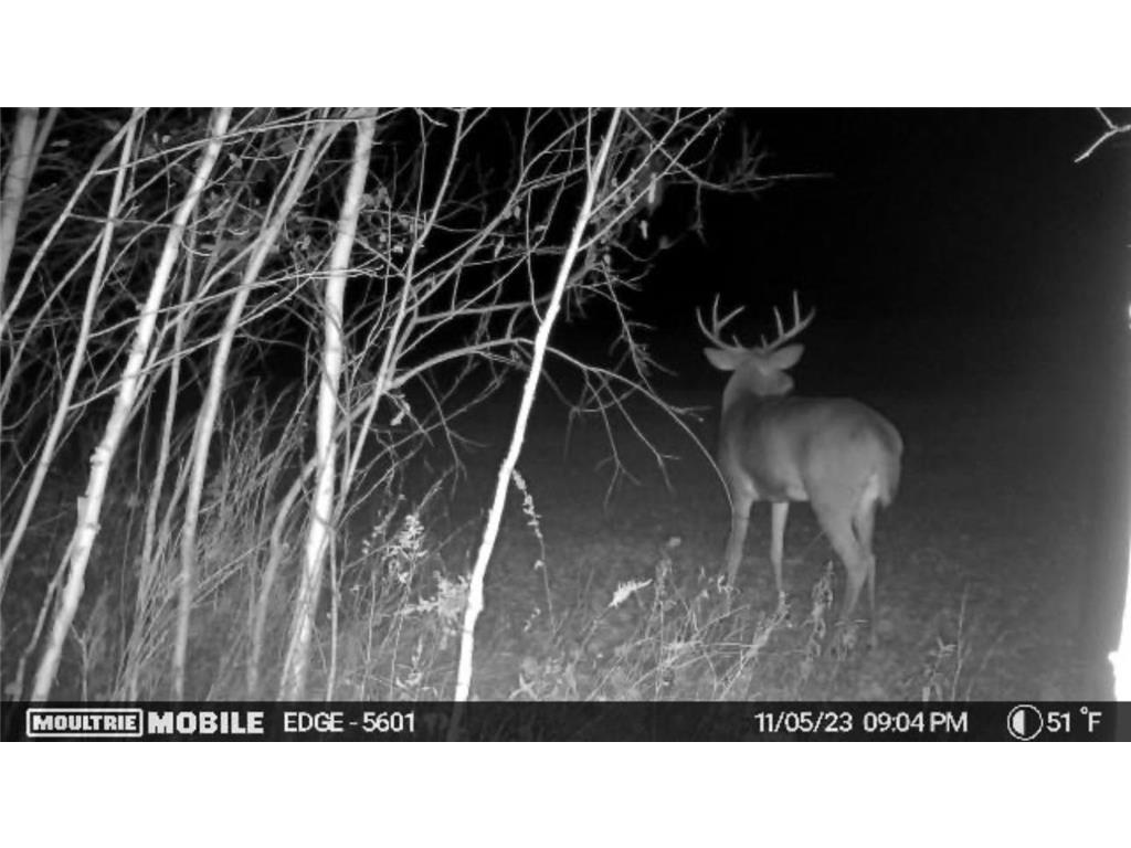 2022 Dixon Line Road Finlayson MN 55735 7046826 image7
