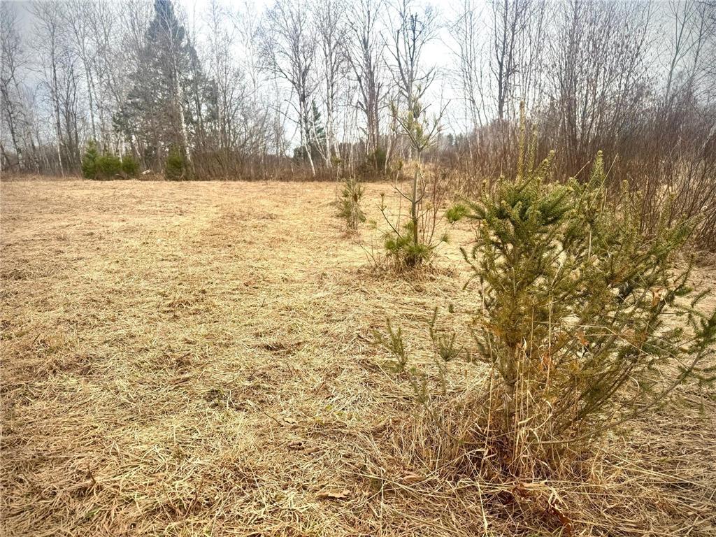 2022 Dixon Line Road Finlayson MN 55735 7046826 image8