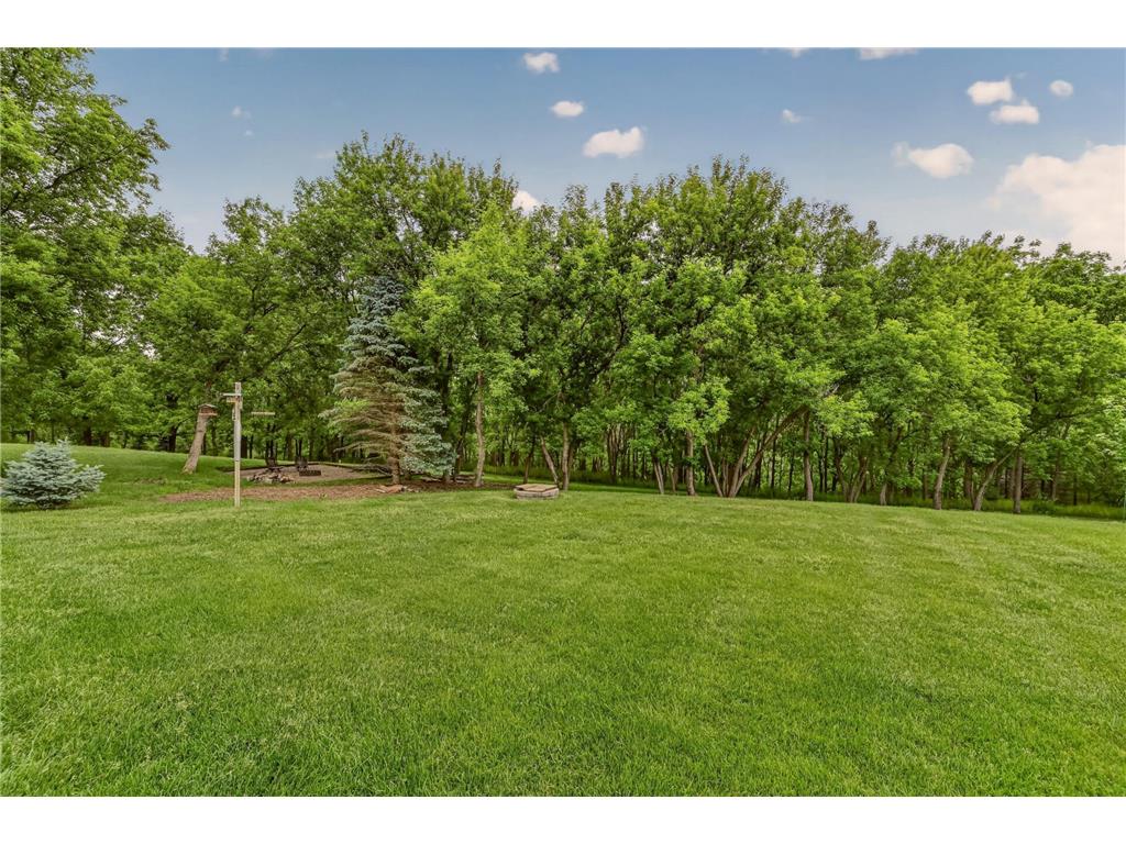 2022 Shannon Oaks Boulevard NE Rochester MN 55906 7089003 image50