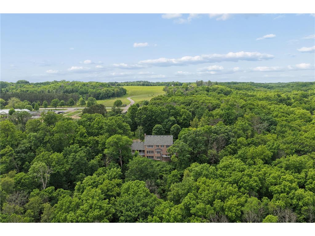 20233 Saint Croix Trail N Scandia MN 55073 7087659 image52