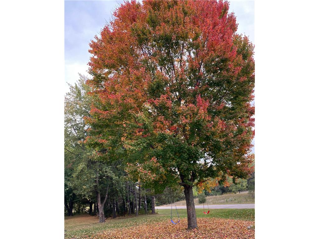 20236 Killdeer Street NW Oak Grove MN 55011 7023004 image50