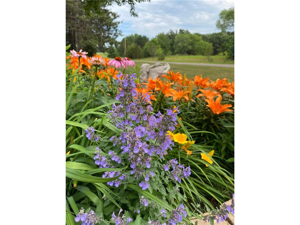 20236 Killdeer Street NW Oak Grove MN 55011 7023004 image53