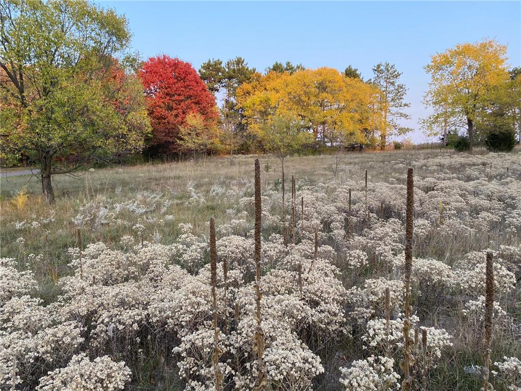 20236 Killdeer Street NW Oak Grove MN 55011 7023004 image56