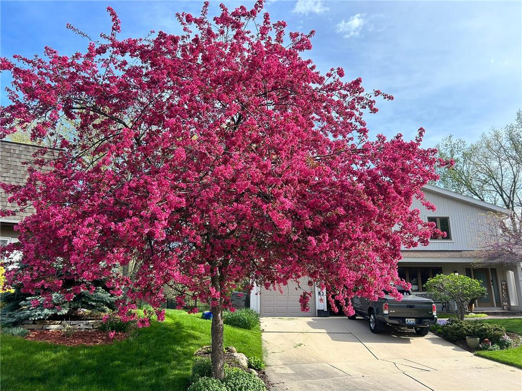 2024 Telemark Court NW Rochester MN 55901 7088144 image16