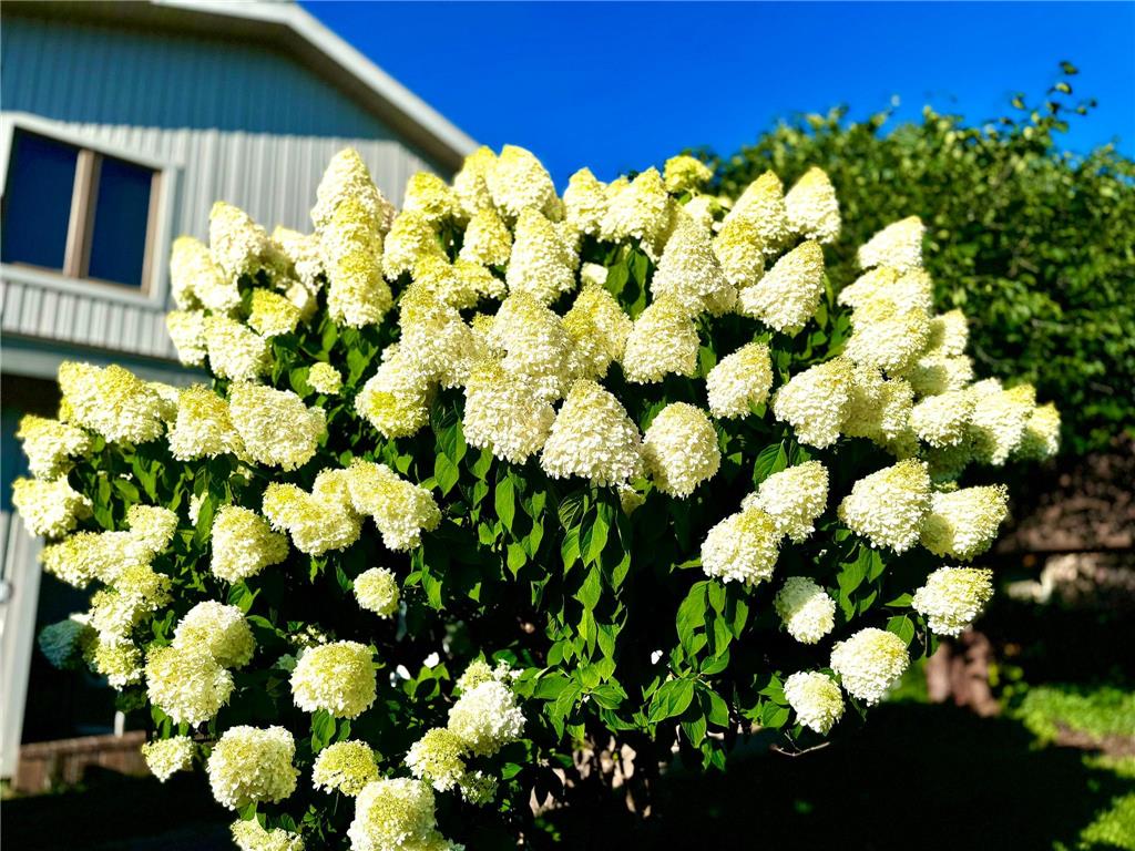 2024 Telemark Court NW Rochester MN 55901 7088144 image17