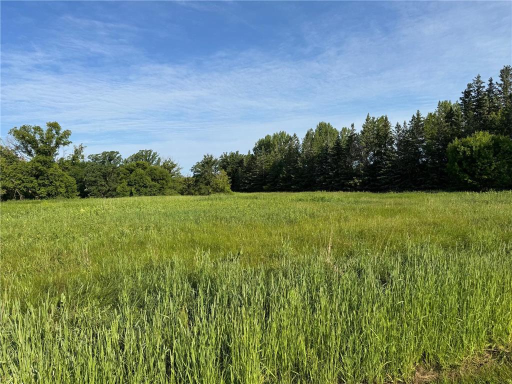 20247 410th Avenue Mickinock Twp MN 56751 7003362 image19