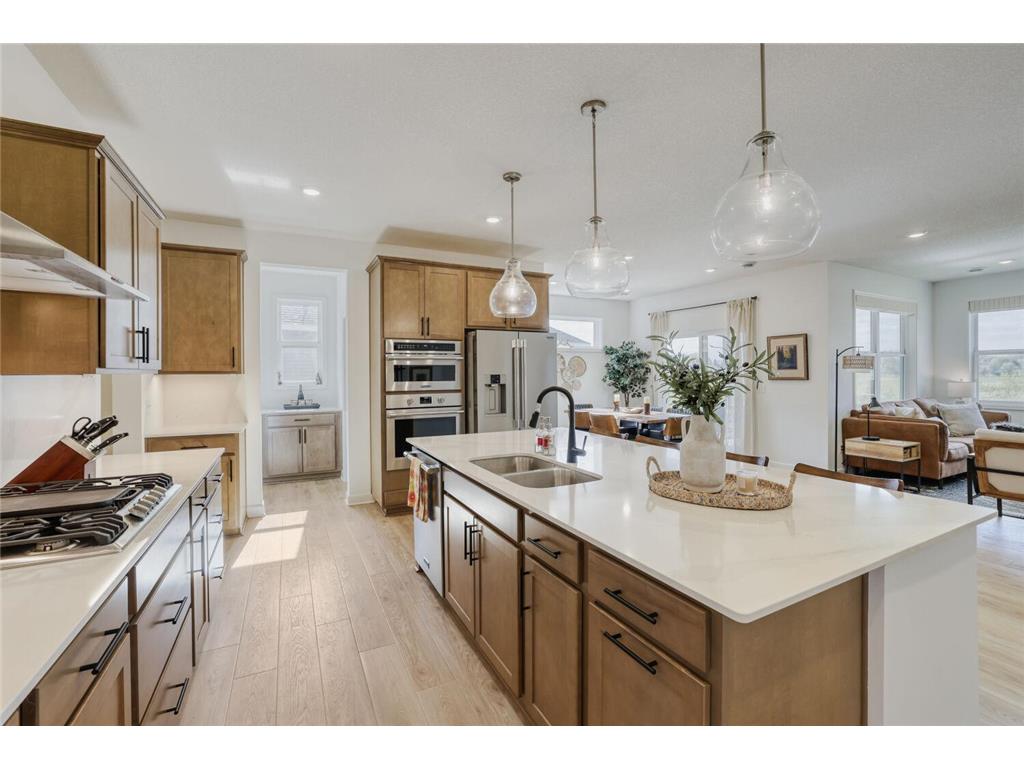 20252 Marsh Court Rogers MN 55311 7061241 image5