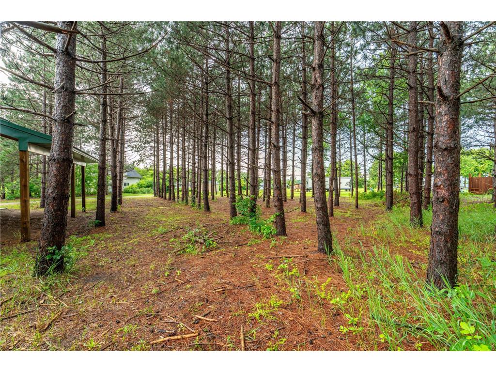 20265 Swenson Drive Nidaros Twp MN 56524 - Clitherall 7101239 image10