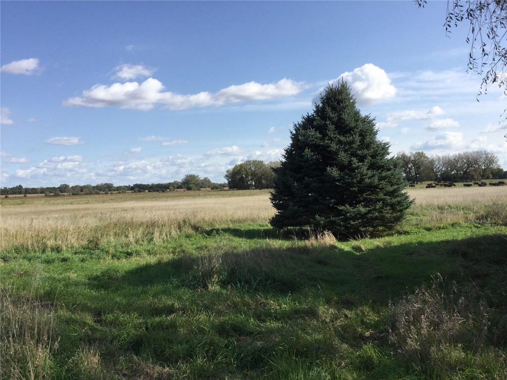 2029 210th Avenue Norman Twp MN 56220 6794935 image8