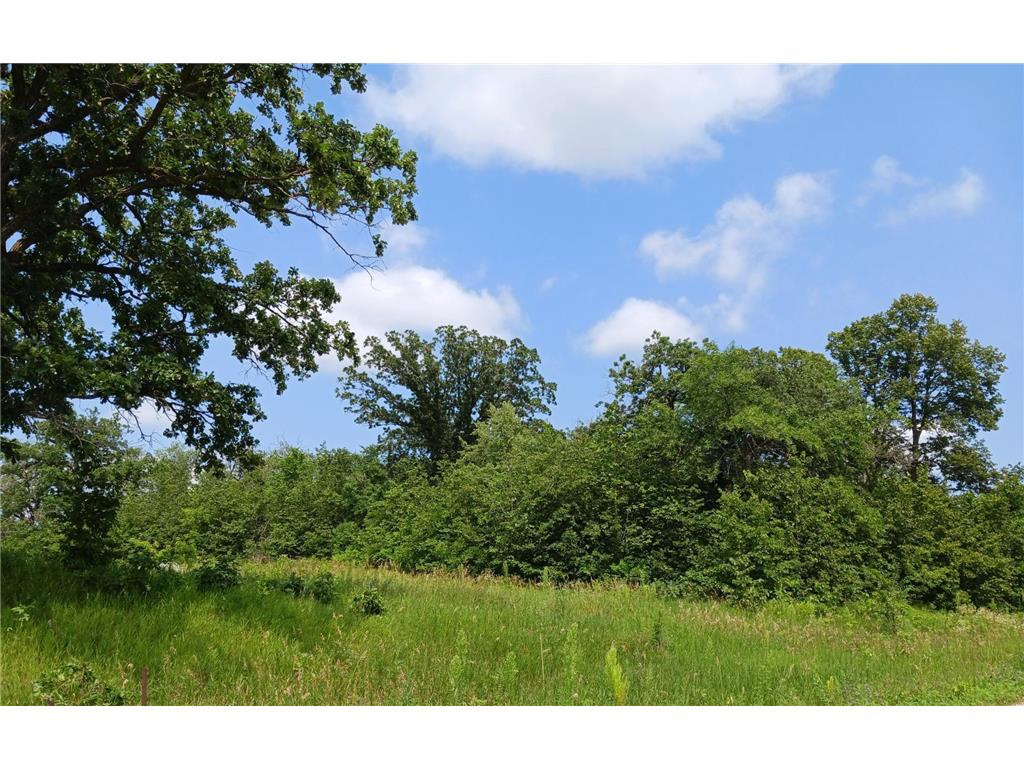 202xxx 295th Street Elizabeth Twp MN 56537 6575260 image1