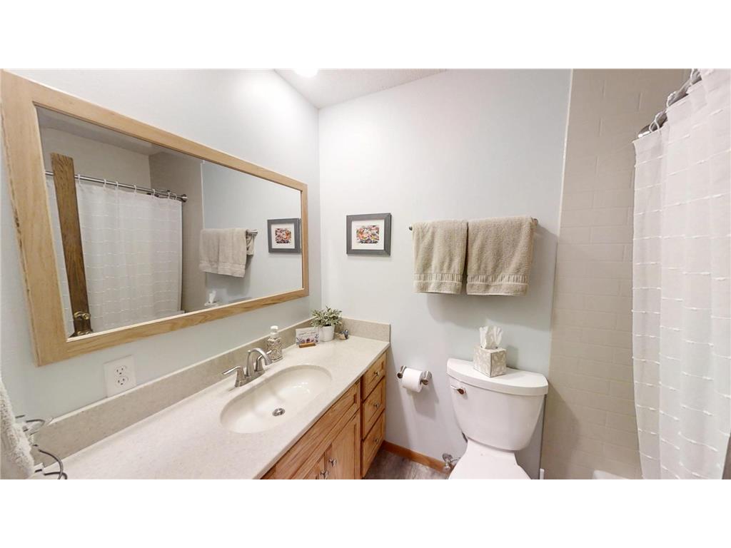 203 3rd Street SW Medford MN 55049 7046319 image47