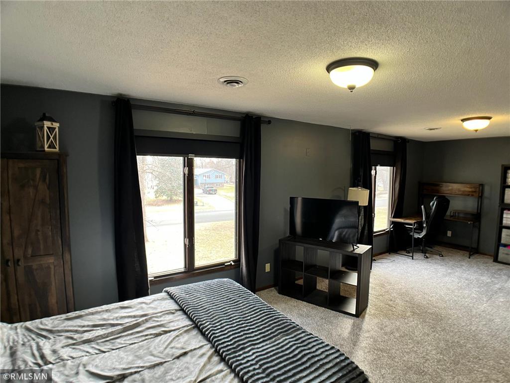 203 Douglas Drive Buffalo MN 55313 - Pulaski 7038648 image21