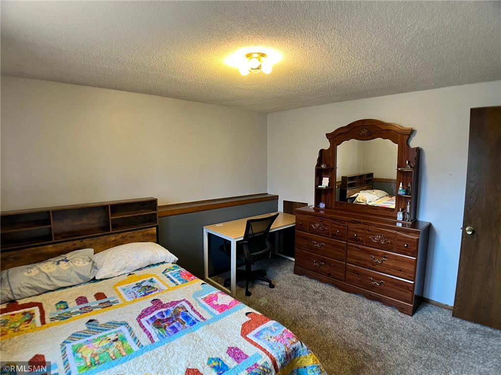 203 Douglas Drive Buffalo MN 55313 - Pulaski 7038648 image31