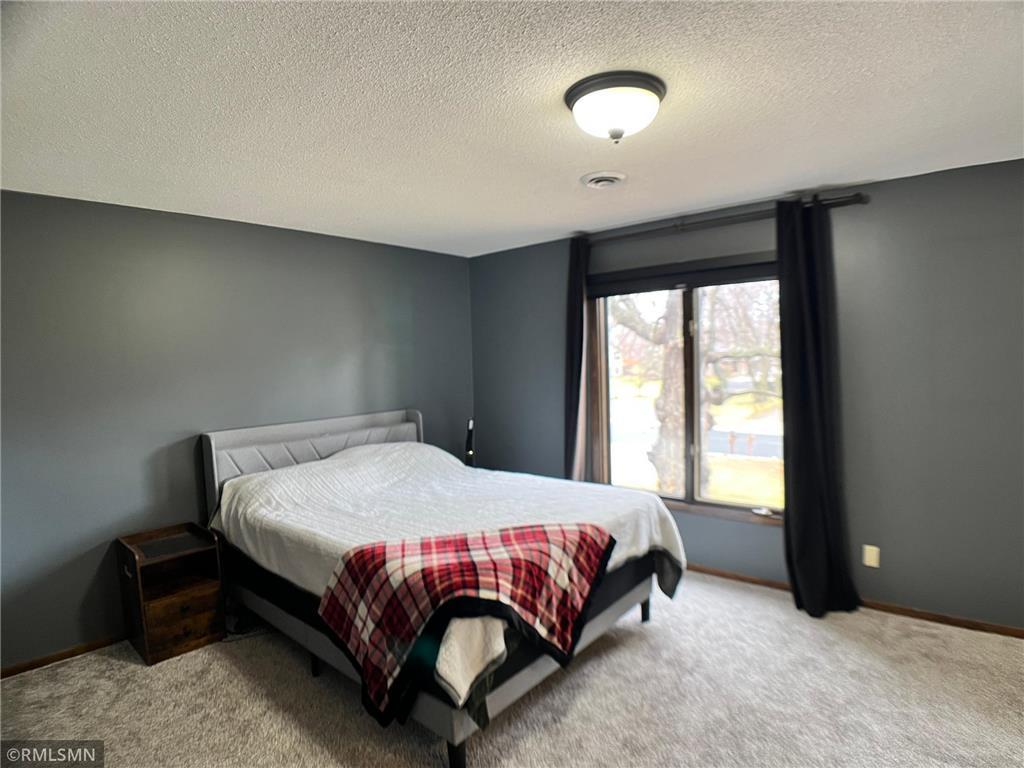 203 Douglas Drive Buffalo MN 55313 - Pulaski 7074699 image19