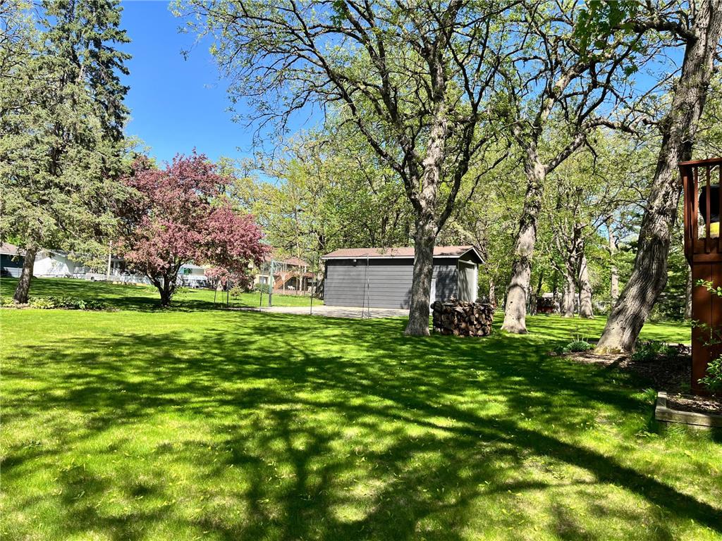 203 Douglas Drive Buffalo MN 55313 - Pulaski 7074699 image3