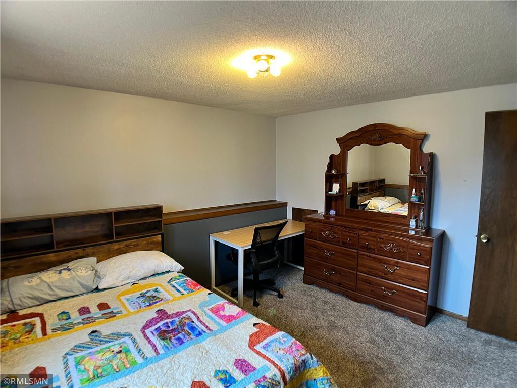 203 Douglas Drive Buffalo MN 55313 - Pulaski 7074699 image32