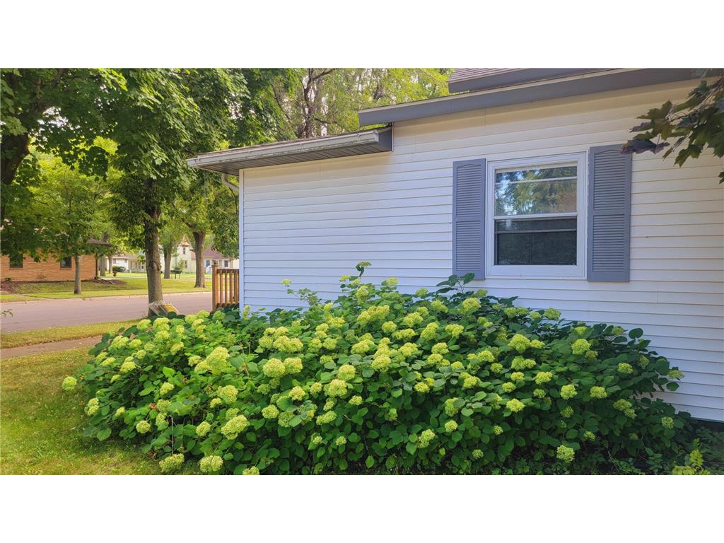 203 N Monroe Street Minneota MN 56264 7068009 image25