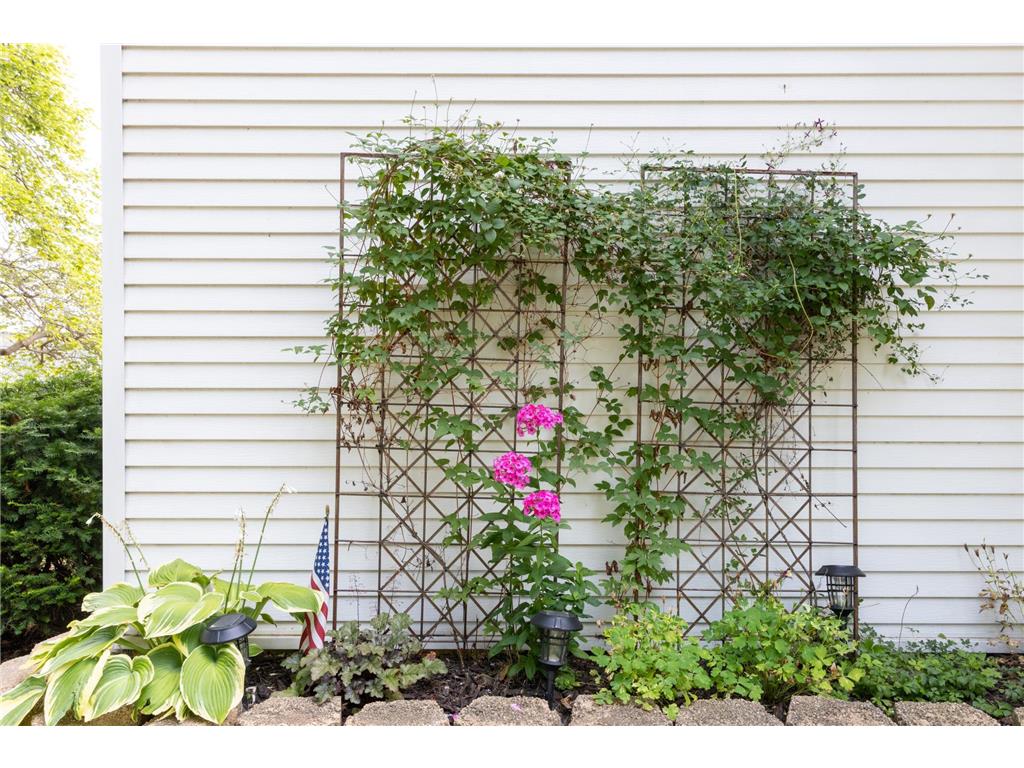 203 S Garden Street Lake City MN 55041 7111514 image10