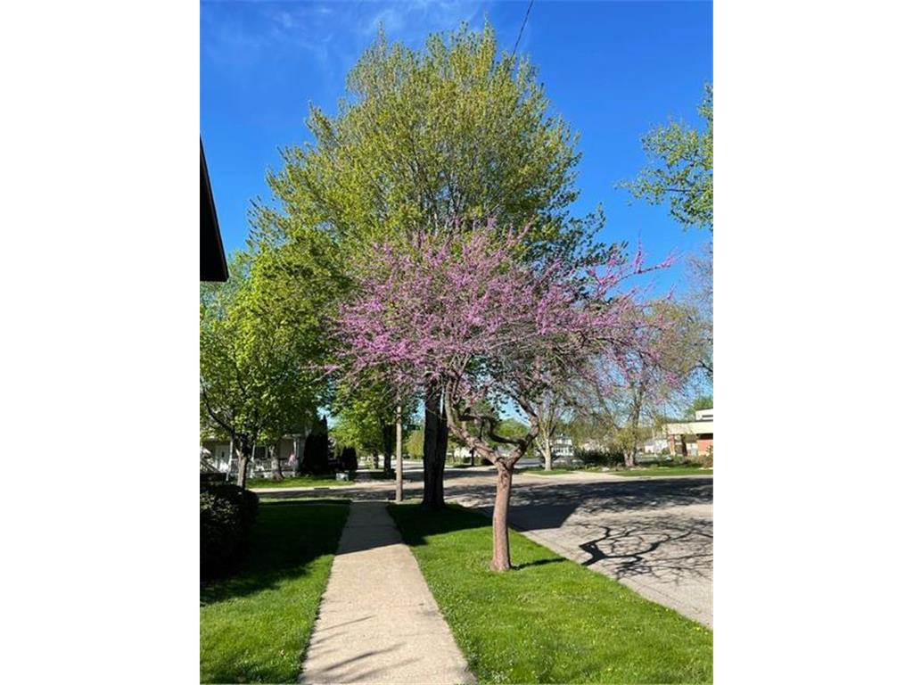 203 S Garden Street Lake City MN 55041 7111514 image69