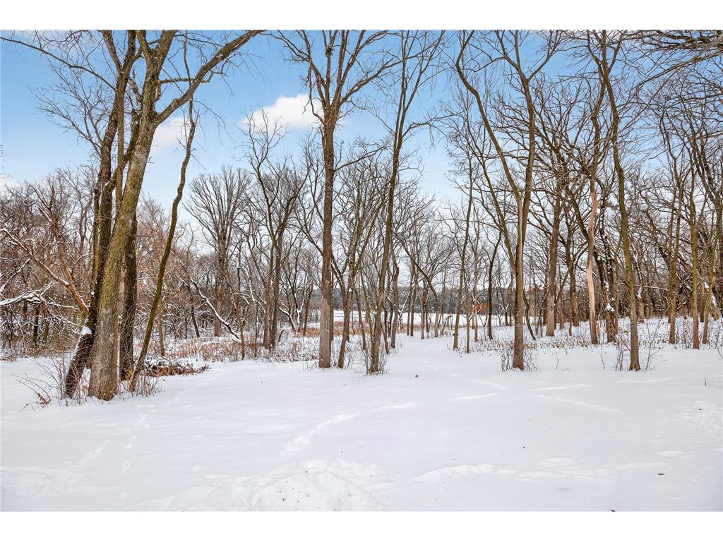 20300 Otero Avenue Ravenna Twp MN 55033 6820510 image49