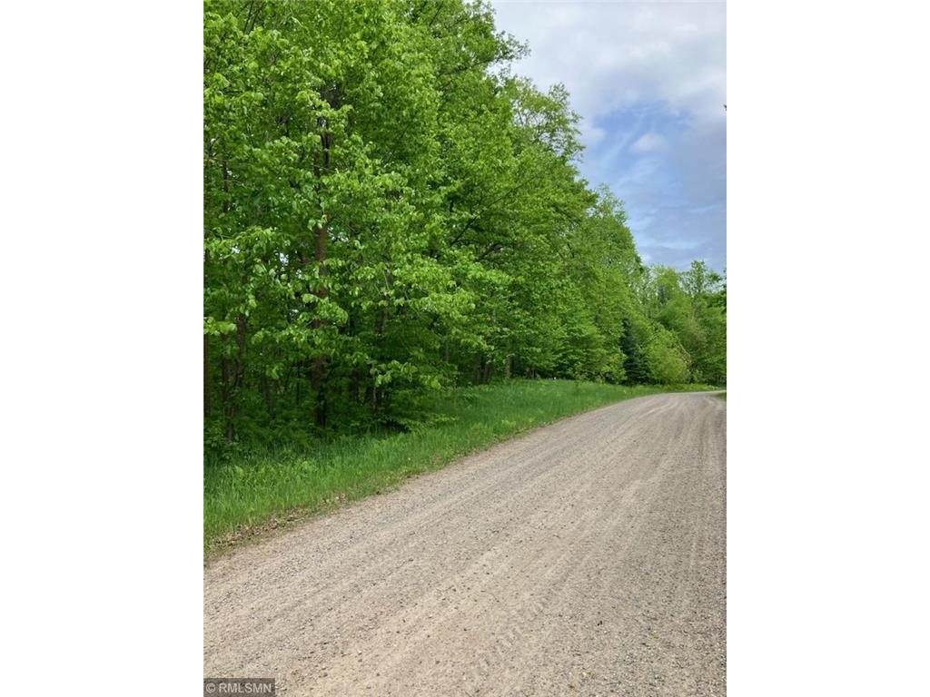 20310 640th Lane, Jacobson, MN, 55752 MLS 6556042 Edina Realty