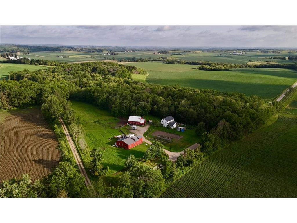 20315 391st Avenue Amherst Twp MN 55949 6560714 image1