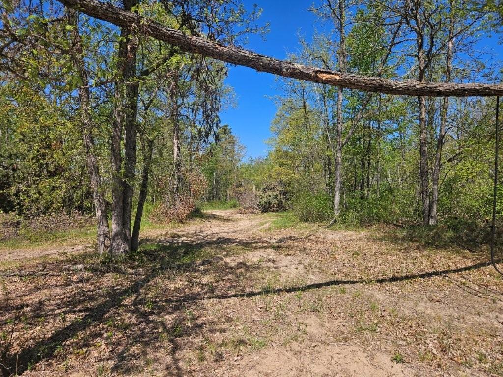 20329 Mission Road SE Cass Lake MN 56633 7080748 image25