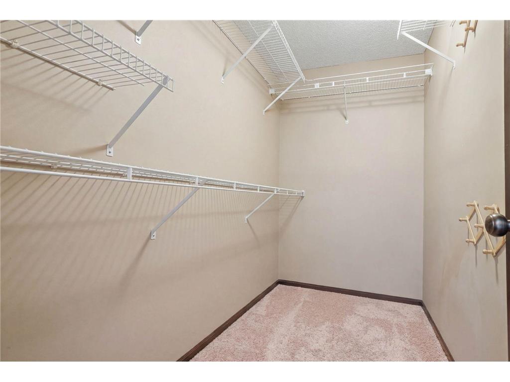 20330 Goldeneye Way Rogers MN 55374 7089969 image15